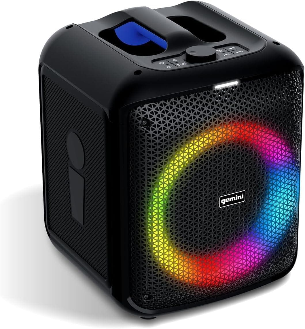 100W Portable Bluetooth Karaoke Speaker