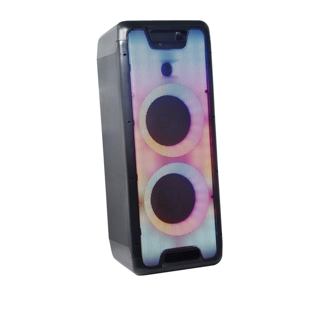 1000W Portable Party System